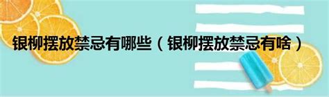 銀柳擺放位置|銀柳放客廳一般放幾支 擺放的風水禁忌